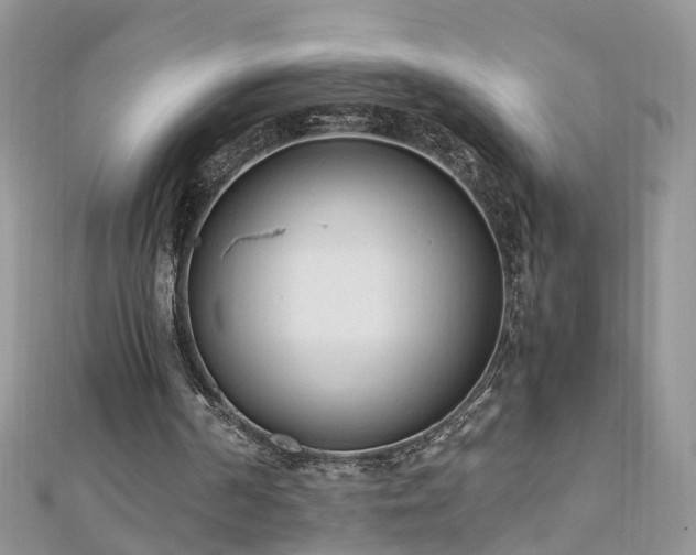 X0000110910194200906181350