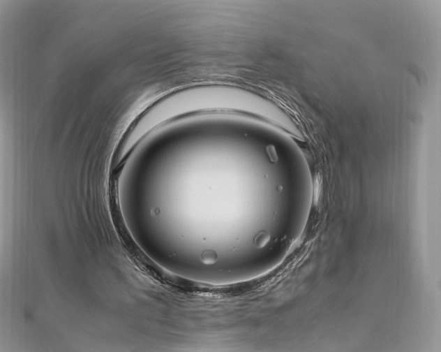 X0000110910195200906181350