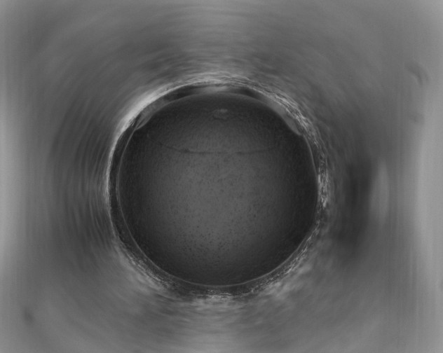 X0000110910196200906181350