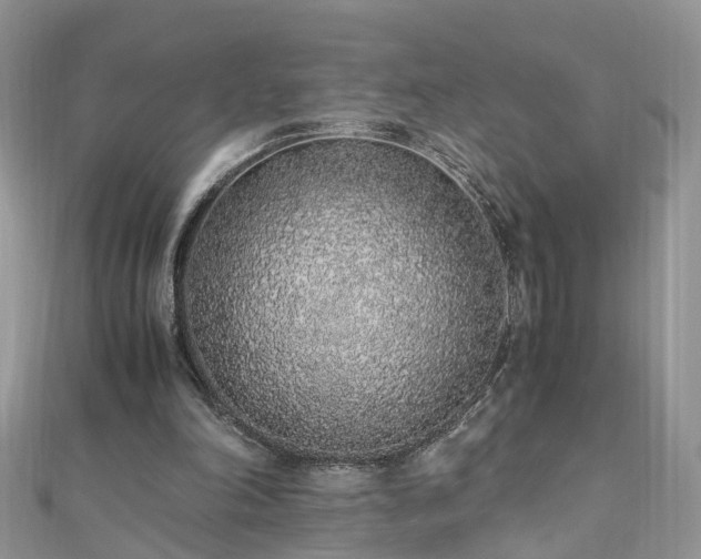 X0000110910198200906181350