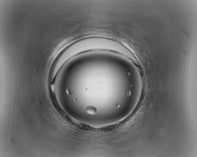 X0000110910199200906181350