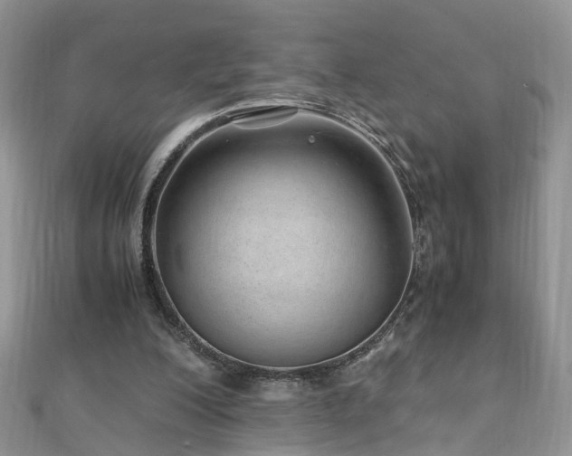 X0000110910200200906181350