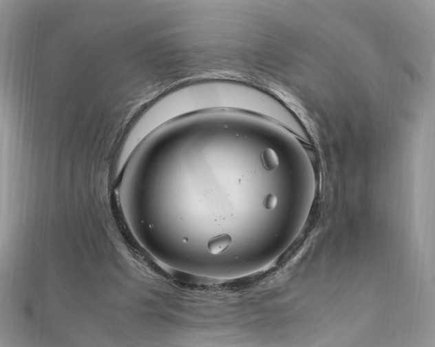 X0000110910201200906181350