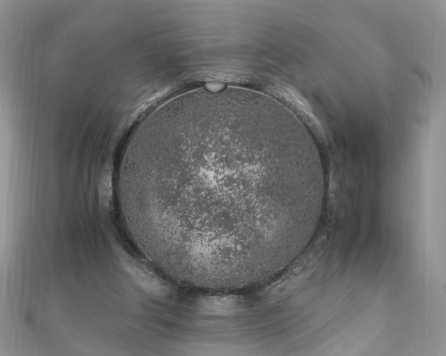 X0000110910202200906181350