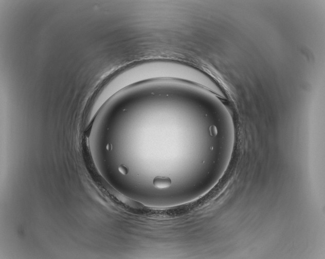 X0000110910203200906181350