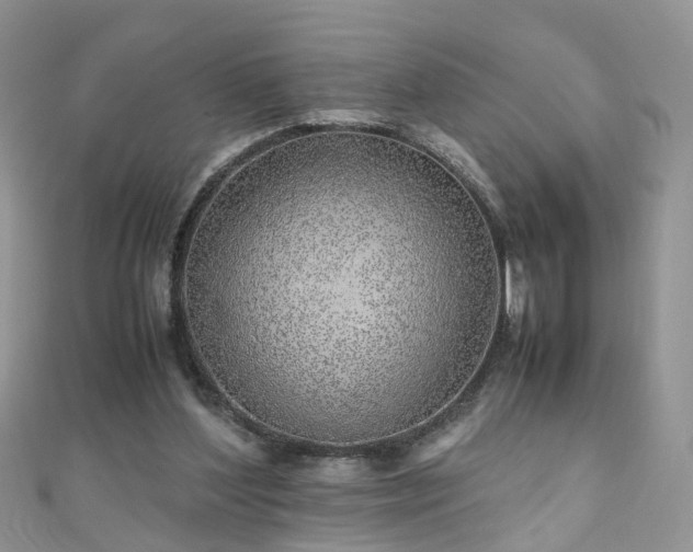 X0000110910204200906181350