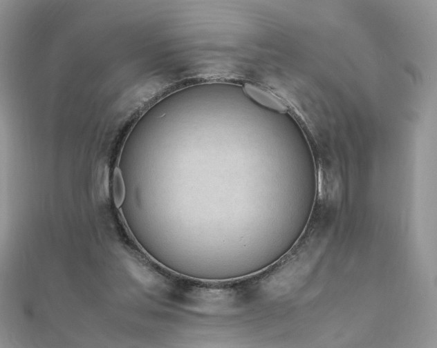 X0000110910205200906181350