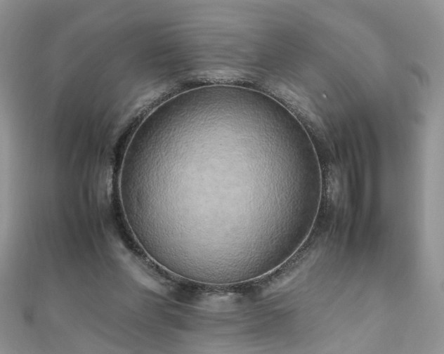 X0000110910206200906181350