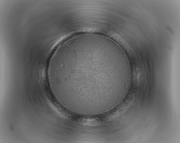 X0000110910208200906181350