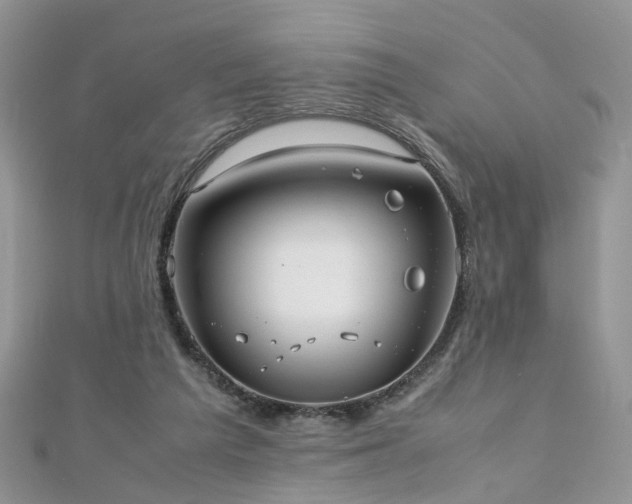 X0000110910209200906181350