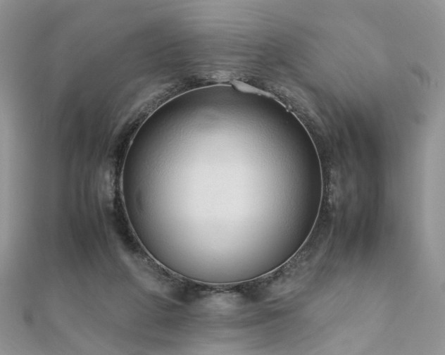 X0000110910210200906181350