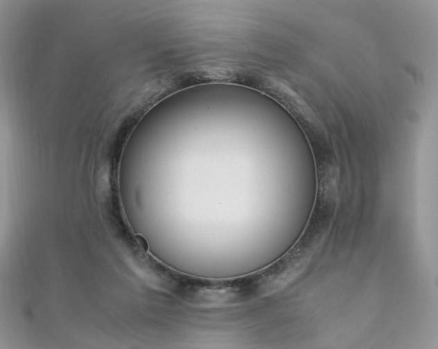 X0000110910213200906181350