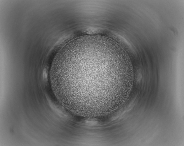 X0000110910214200906181350