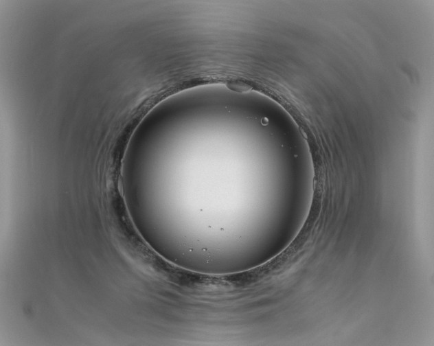 X0000110910215200906181350