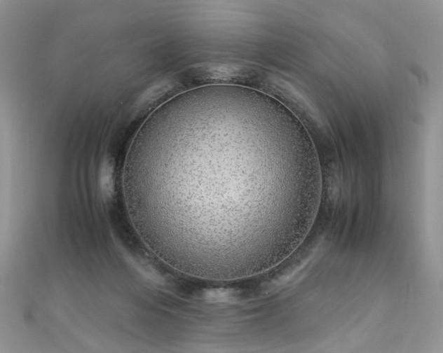 X0000110910216200906181350