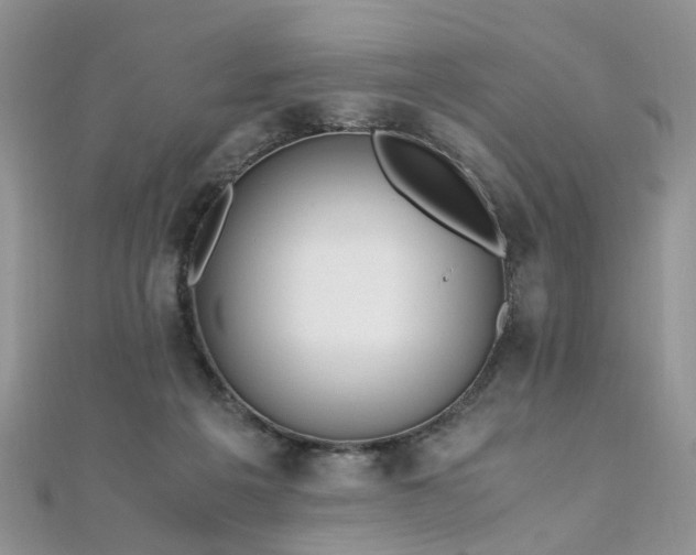 X0000110910217200906181350