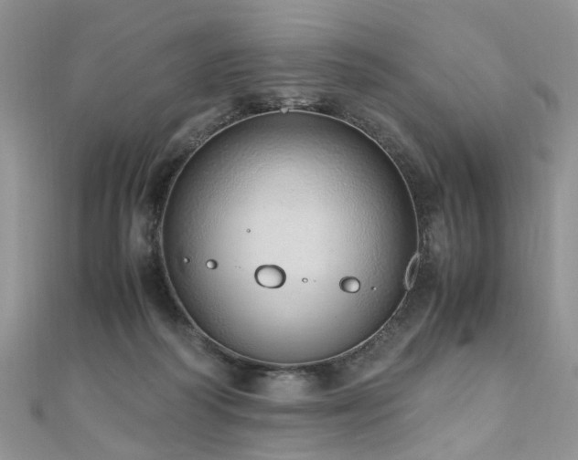 X0000110910218200906181350