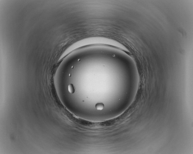 X0000110910219200906181350