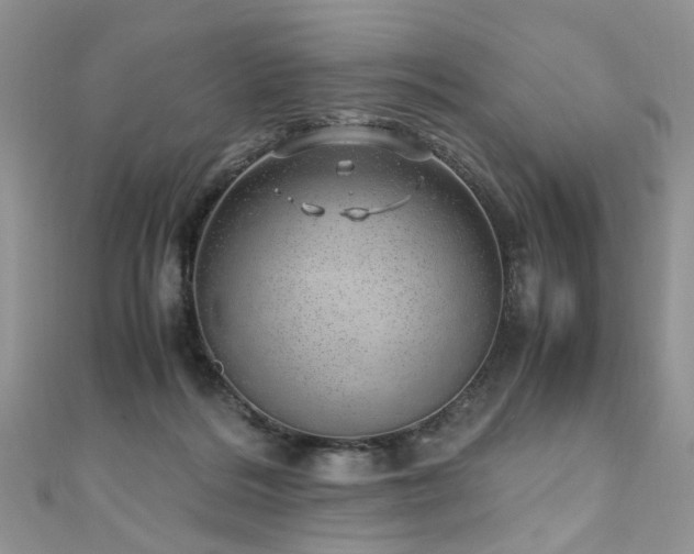 X0000110910220200906181350