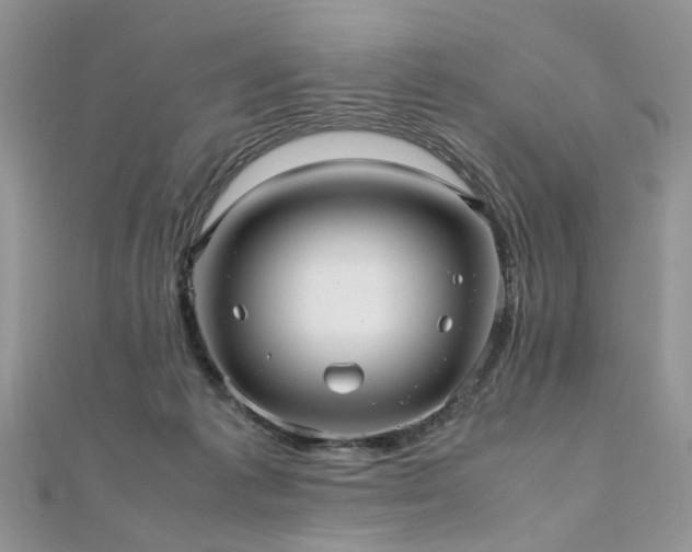 X0000110910221200906181350