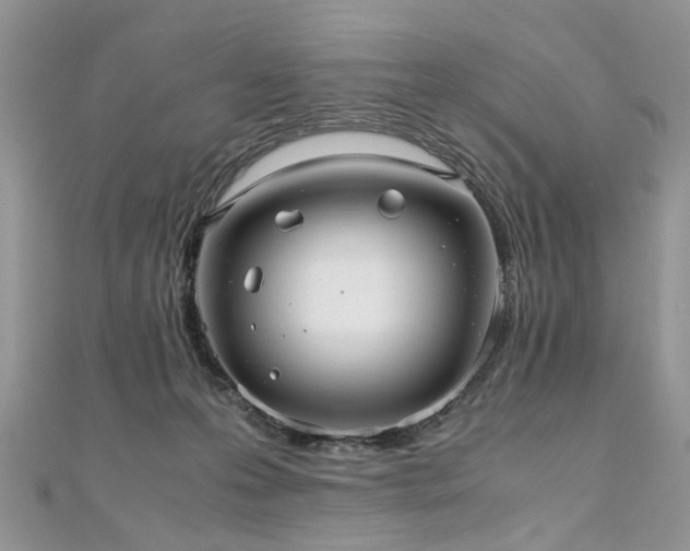 X0000110910223200906181350