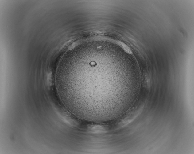 X0000110910224200906181350