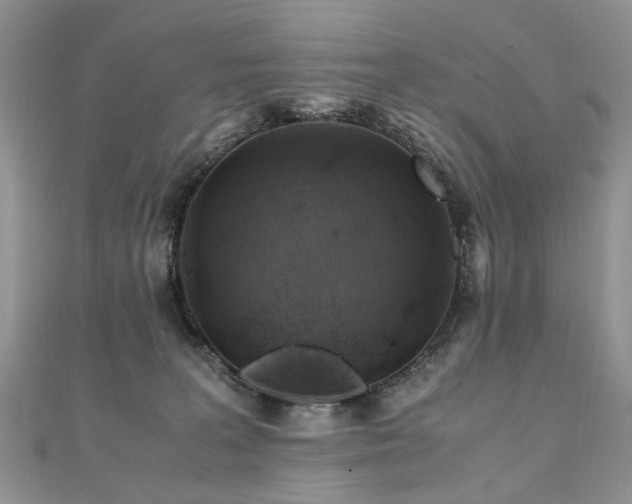 X0000110910227200906181350