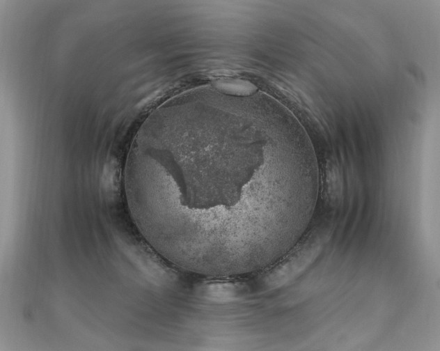 X0000110910228200906181349