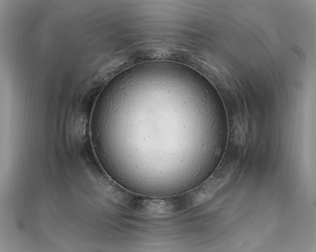 X0000110910230200906181349