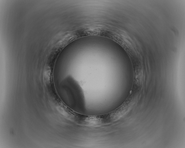 X0000110910231200906181349