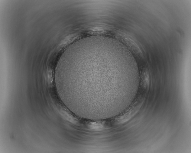 X0000110910232200906181349