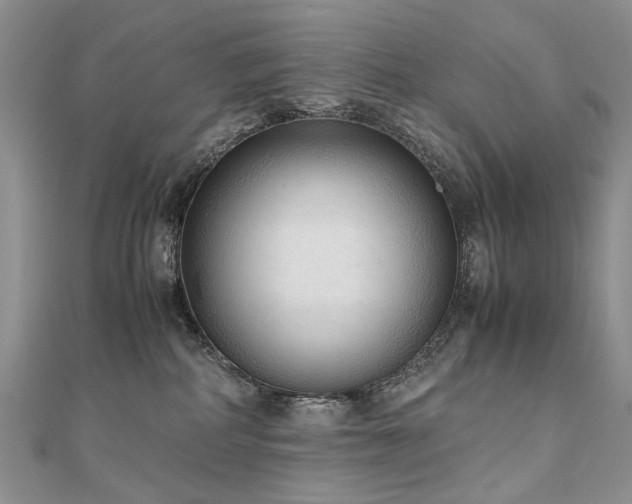 X0000110910234200906181349