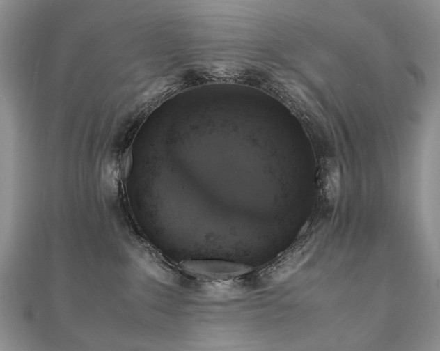 X0000110910235200906181349