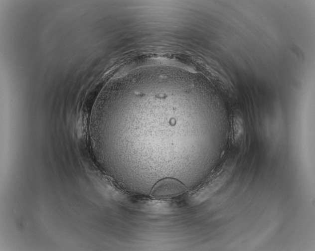 X0000110910236200906181349