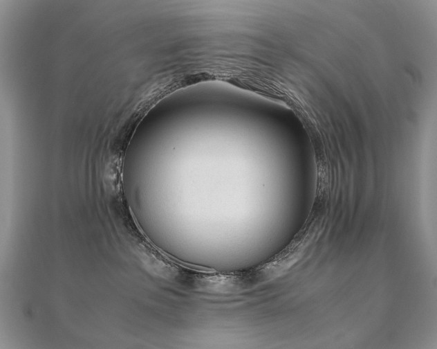 X0000110910237200906181349