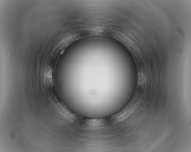 X0000110910238200906181349