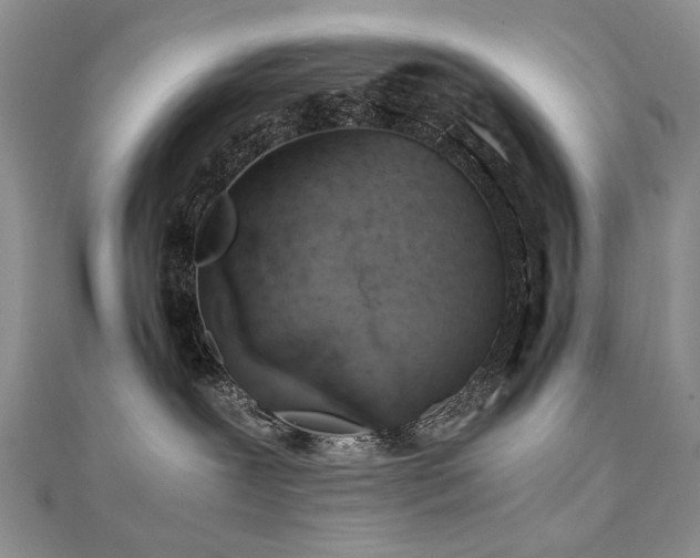 X0000110910239200906181349