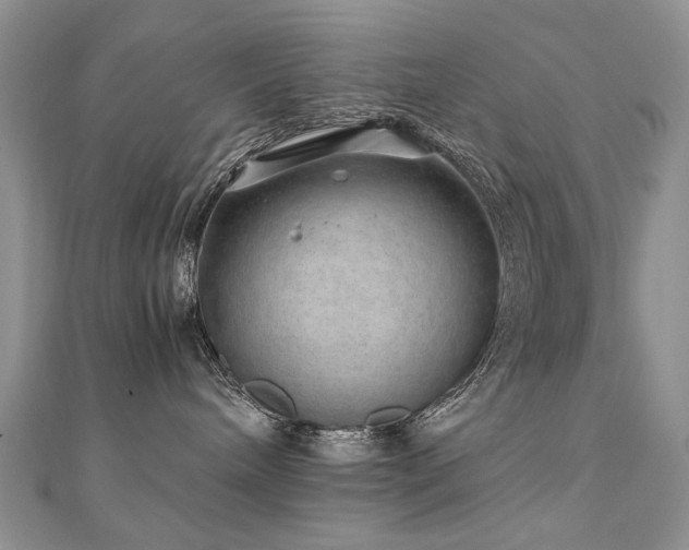 X0000110910240200906181349