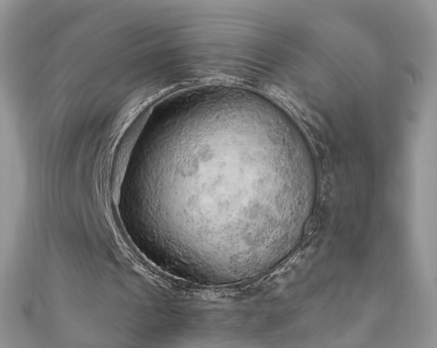 X0000110910241200906181349