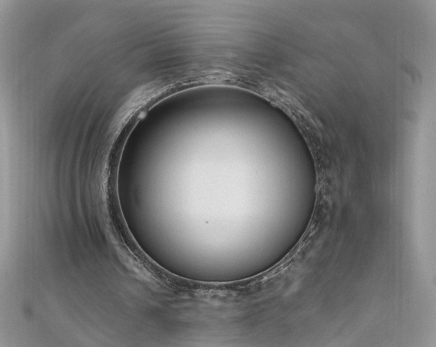 X0000110910242200906181349