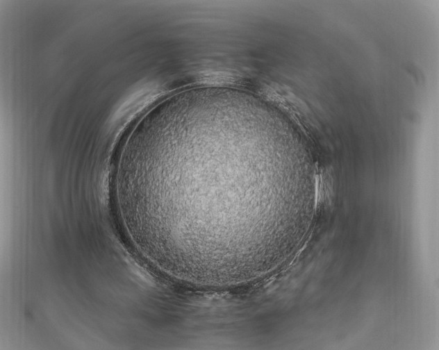 X0000110910243200906181349