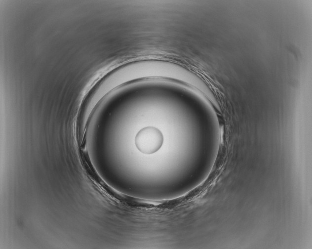 X0000110910244200906181349