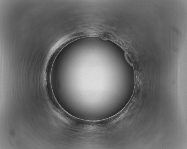 X0000110910246200906181349