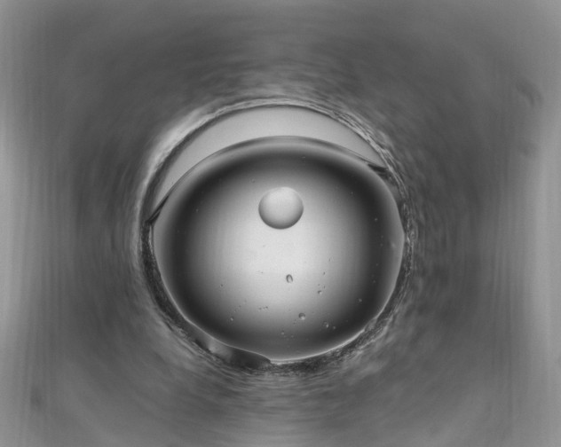 X0000110910248200906181349