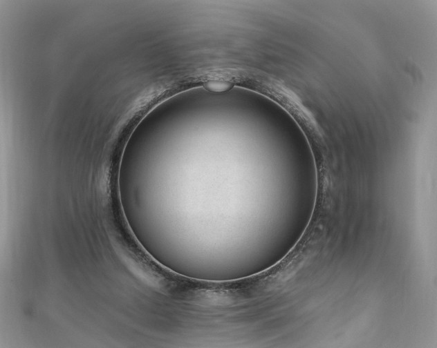 X0000110910250200906181349