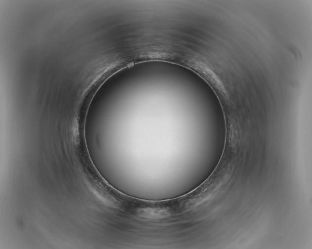 X0000110910251200906181349