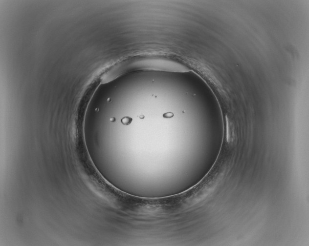 X0000110910252200906181349