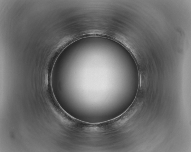 X0000110910253200906181349