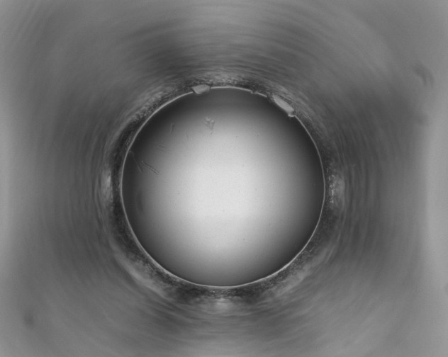 X0000110910254200906181349