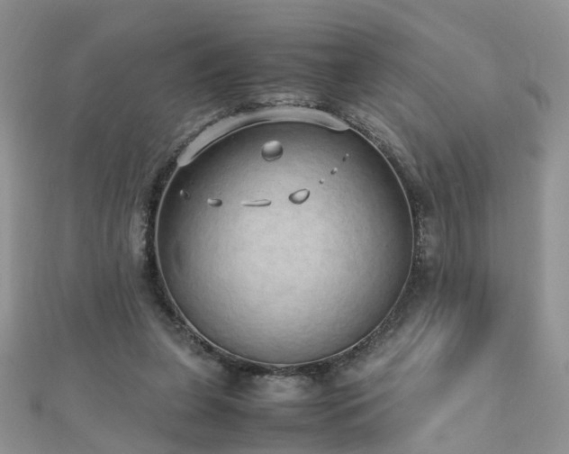 X0000110910255200906181349